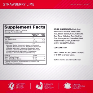 Optimum Nutrition ESSENTIAL AMIN.O. ENERGY® Blueberry Mojito 0.6 lb (30 Servings) Argentina | 04918-XSQO