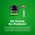 Optimum Nutrition Platinum Creatine Plus Pineapple 350 grams (50 Servings) Argentina | 08315-NLEF