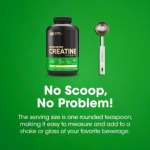 Optimum Nutrition Micronised Creatine Powder 634 grams (186 Servings) Argentina | 10532-EJBO