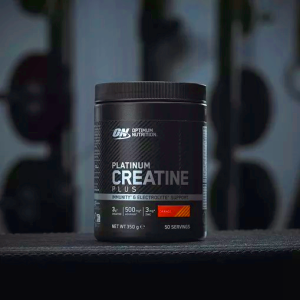 Optimum Nutrition Micronised Creatine Powder 317 grams (93 Servings) Argentina | 51364-ARDN